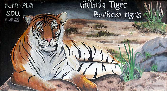 'Tiger Painting on the Outer Walls of Dusit Zoo | Bangkok' by Asienreisender